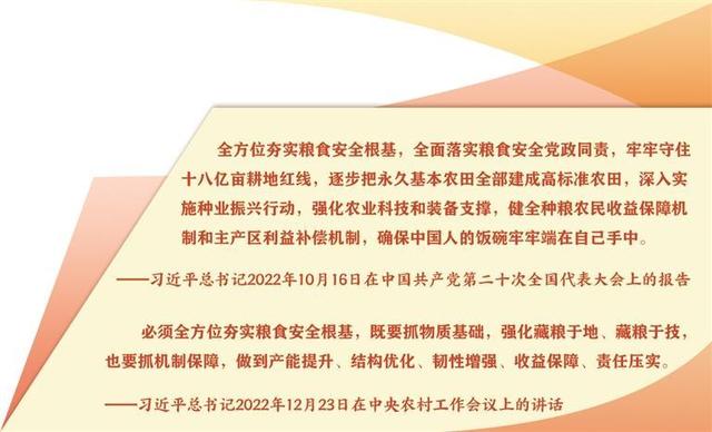 强力推进国有粮食企业改革(国有粮食企业改革中存在的问题及对策)