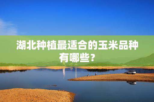 湖北种植最适合的玉米品种有哪些？