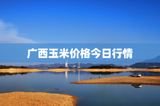 广西玉米价格今日行情