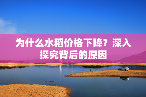 为什么水稻价格下降？深入探究背后的原因