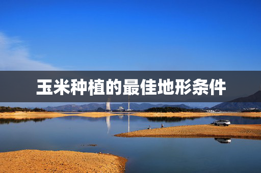 玉米种植的最佳地形条件