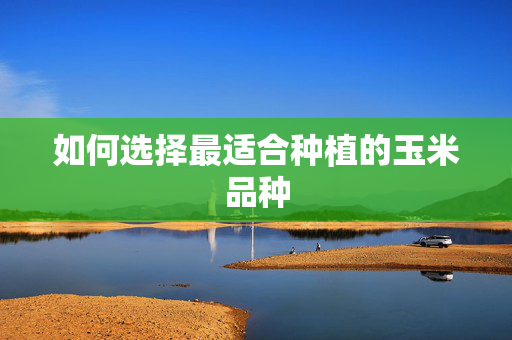 如何选择最适合种植的玉米品种