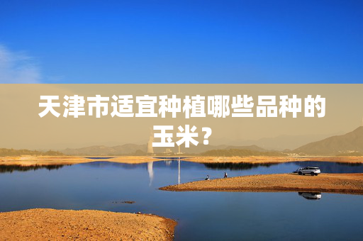 天津市适宜种植哪些品种的玉米？