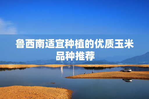 鲁西南适宜种植的优质玉米品种推荐