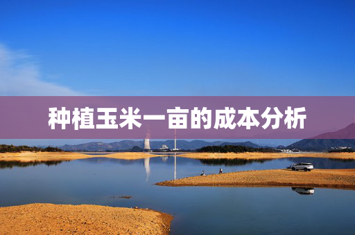 种植玉米一亩的成本分析