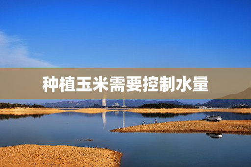 种植玉米需要控制水量