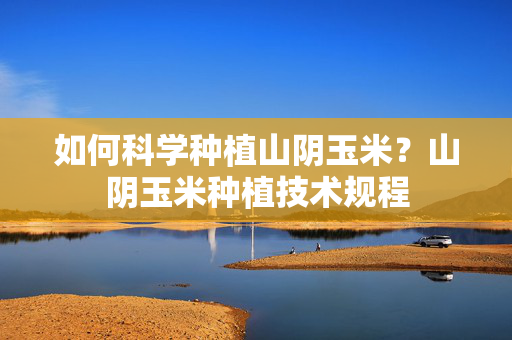 如何科学种植山阴玉米？山阴玉米种植技术规程