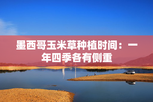 墨西哥玉米草种植时间：一年四季各有侧重
