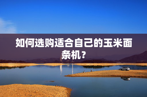 如何选购适合自己的玉米面条机？