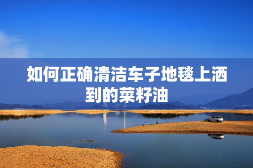 如何正确清洁车子地毯上洒到的菜籽油