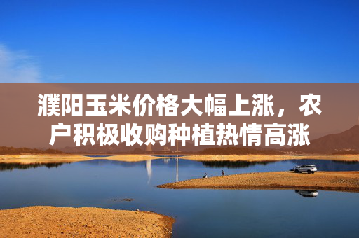 濮阳玉米价格大幅上涨，农户积极收购种植热情高涨