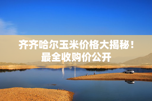齐齐哈尔玉米价格大揭秘！最全收购价公开