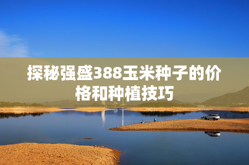 探秘强盛388玉米种子的价格和种植技巧