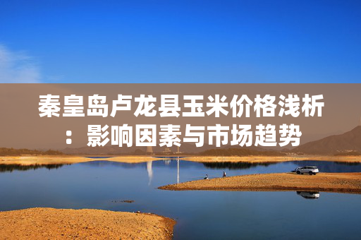 秦皇岛卢龙县玉米价格浅析：影响因素与市场趋势