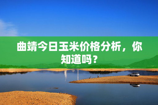曲靖今日玉米价格分析，你知道吗？