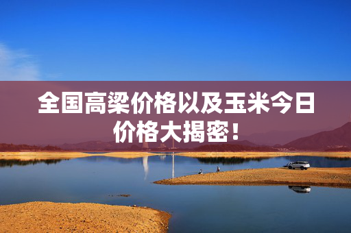 全国高梁价格以及玉米今日价格大揭密！