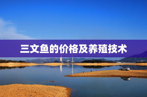 三文鱼的价格及养殖技术