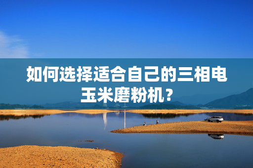 如何选择适合自己的三相电玉米磨粉机？