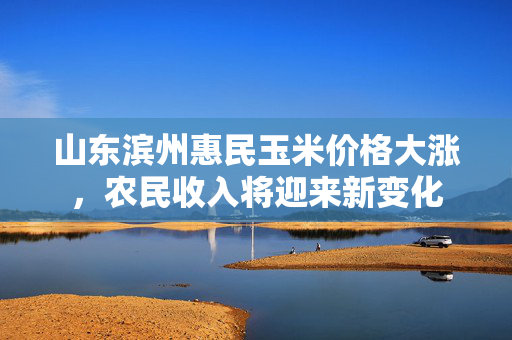 山东滨州惠民玉米价格大涨，农民收入将迎来新变化