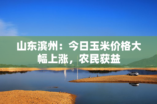 山东滨州：今日玉米价格大幅上涨，农民获益