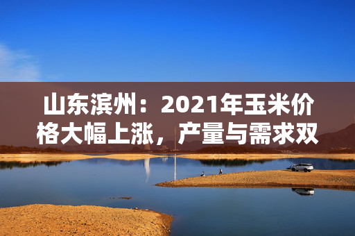 山东滨州：2021年玉米价格大幅上涨，产量与需求双双增长