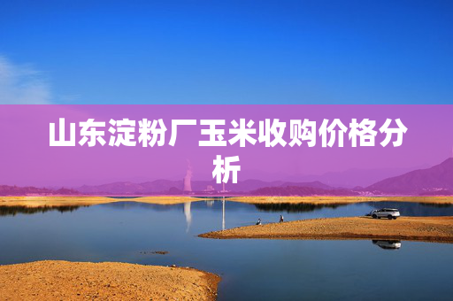 山东淀粉厂玉米收购价格分析