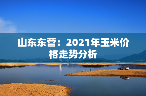 山东东营：2021年玉米价格走势分析