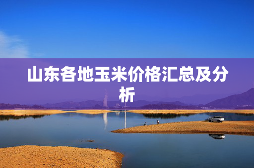 山东各地玉米价格汇总及分析