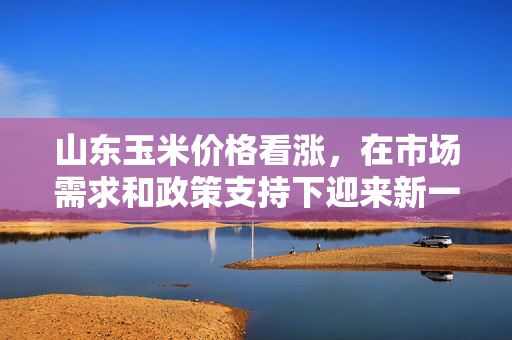 山东玉米价格看涨，在市场需求和政策支持下迎来新一轮上涨