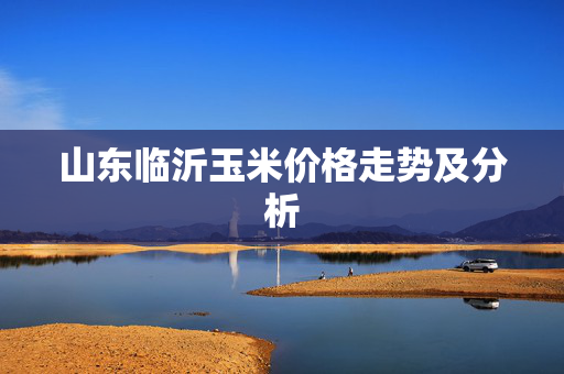山东临沂玉米价格走势及分析