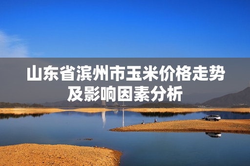 山东省滨州市玉米价格走势及影响因素分析