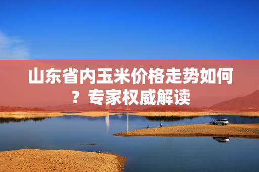 山东省内玉米价格走势如何？专家权威解读