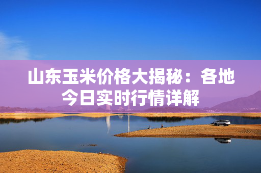 山东玉米价格大揭秘：各地今日实时行情详解
