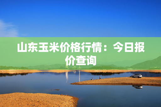 山东玉米价格行情：今日报价查询