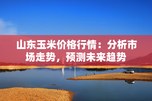 山东玉米价格行情：分析市场走势，预测未来趋势