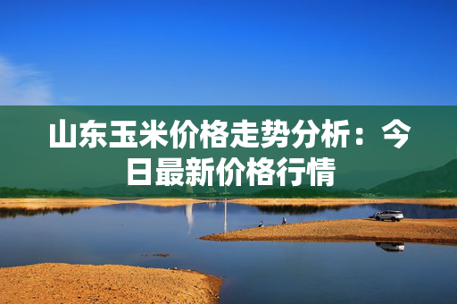 山东玉米价格走势分析：今日最新价格行情