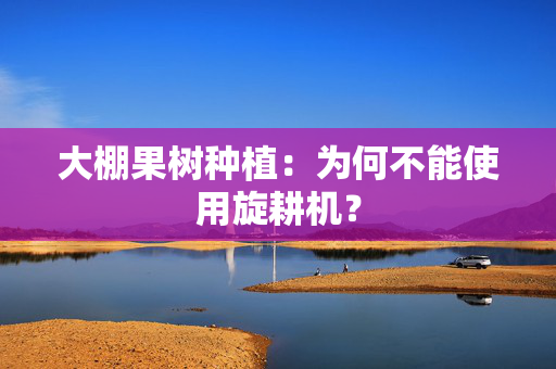 大棚果树种植：为何不能使用旋耕机？