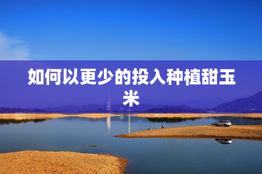 如何以更少的投入种植甜玉米