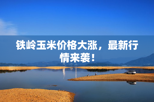 铁岭玉米价格大涨，最新行情来袭！