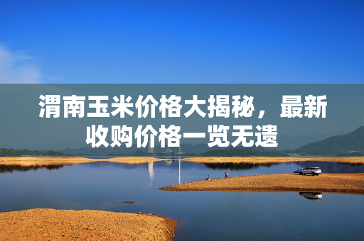 渭南玉米价格大揭秘，最新收购价格一览无遗