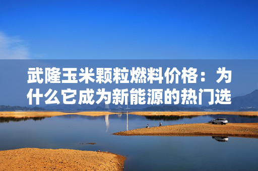 武隆玉米颗粒燃料价格：为什么它成为新能源的热门选择？