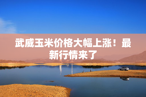 武威玉米价格大幅上涨！最新行情来了