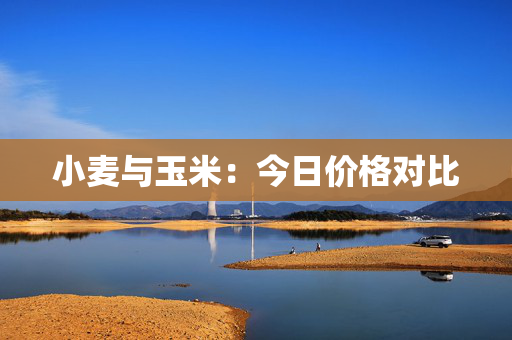 小麦与玉米：今日价格对比