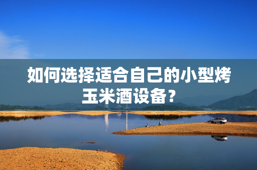 如何选择适合自己的小型烤玉米酒设备？