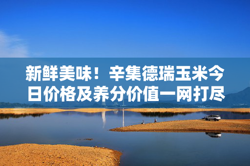 新鲜美味！辛集德瑞玉米今日价格及养分价值一网打尽