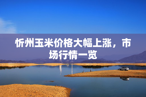 忻州玉米价格大幅上涨，市场行情一览