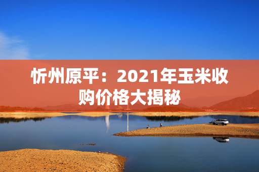 忻州原平：2021年玉米收购价格大揭秘