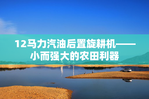 12马力汽油后置旋耕机——小而强大的农田利器
