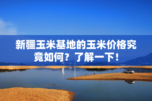 新疆玉米基地的玉米价格究竟如何？了解一下！