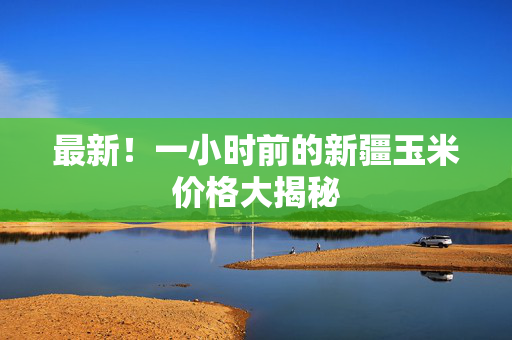 最新！一小时前的新疆玉米价格大揭秘